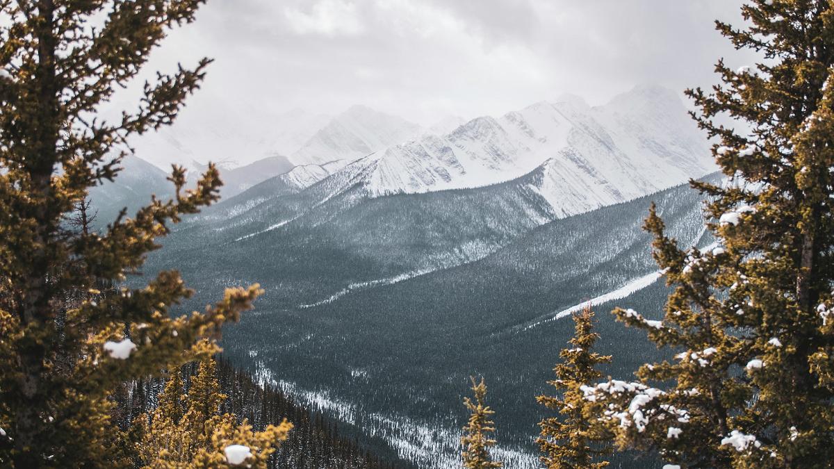 Alberta canada